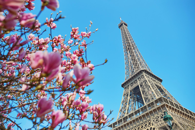 フランス語検定2020年度受験の申込方法とレベル別おすすめの参考書 | フランス大好きママンのブログ